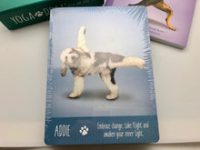 Yoga Dogs Affirmation Card Deck and Book