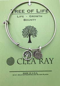 Clea Ray Silver Bangle Bracelets with Spiritual Symbol Charms