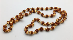 Gold Capped Nepali Rudraksha 54 Bead Mala Necklace