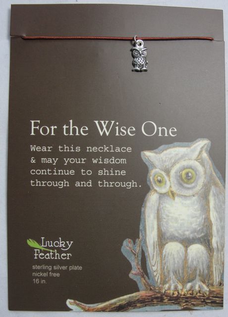 Pretty Moon Jewels Silver Owl Charm Necklace - For the Wise One